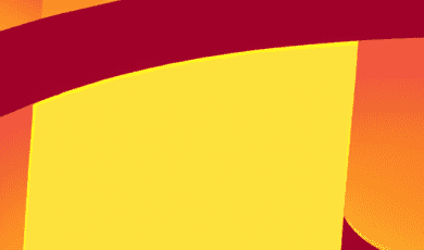 Why Governments and Legislative Bodies Rely on Professional Translation Services